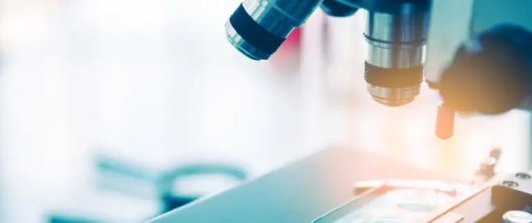 What Are Stem Cells?