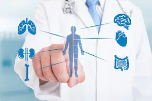 Anatomy of Autoimmune Disease 1 doctor body small 300x199 1