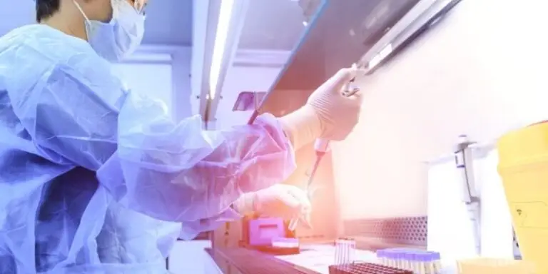 Células madre y alcohol: lo que debes saber