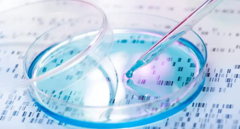 Células madre derivadas de tejido adiposo