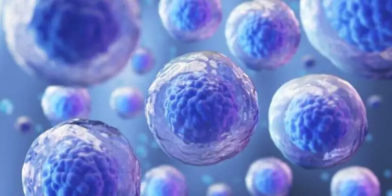 Stem Cell Therapy Series: Healing You