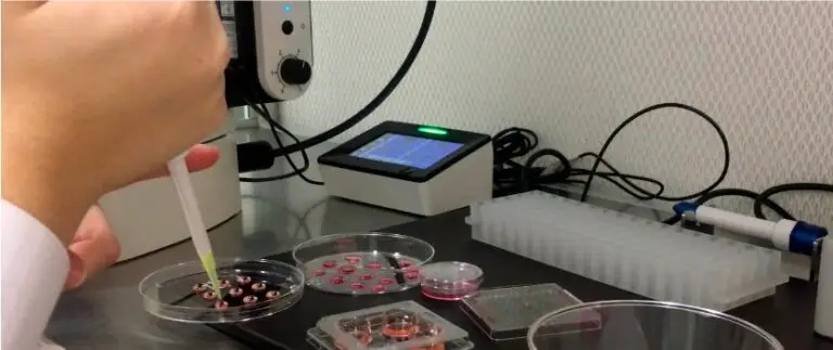 Células Madre Desgarro de Menisco en Dallas