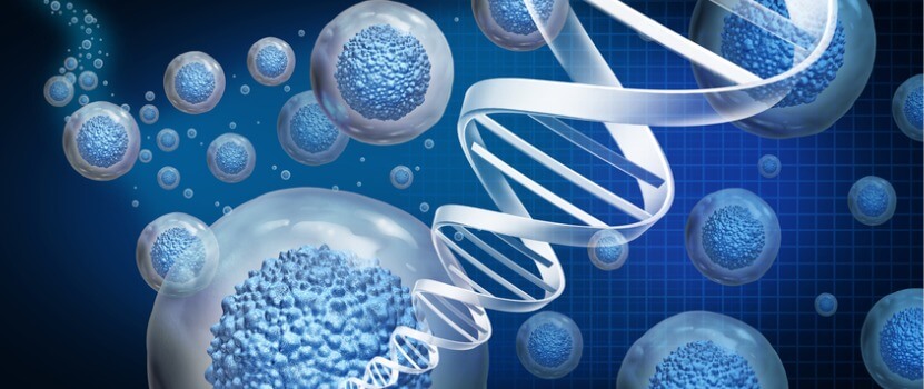 How Does Stem Cell Therapy Work?