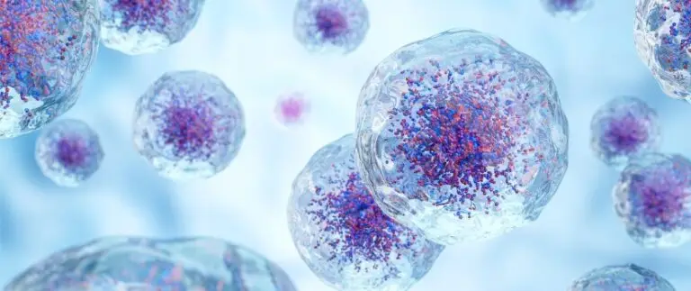 Es segura la terapia con células madre?