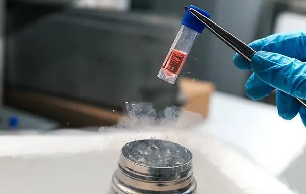 Innovations Medical Stem Cell Therapy stem cell therapy testimonials