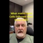 What is a Stem Cell?  Their special characteristics explained