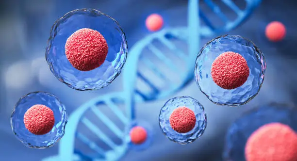 Who’s the Best Stem Cell Clinic in the United States for Chronic Pain Relief?